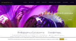 Desktop Screenshot of infotographiste.com